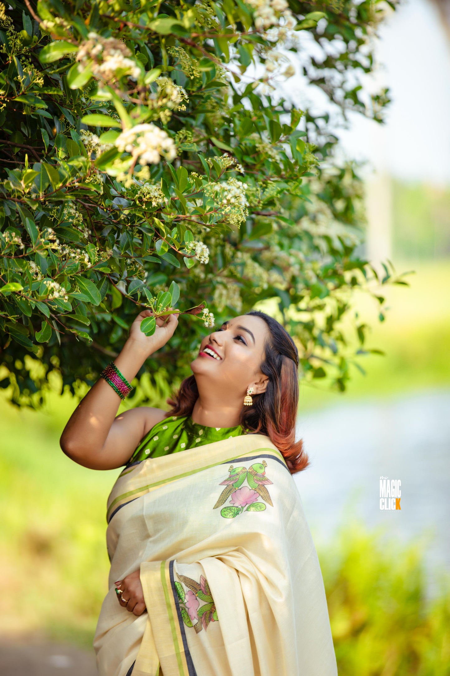Raja Chithra - Tajore Paintings Digital Printed Tissue saree